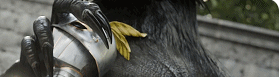 QQ20250520-165211.png